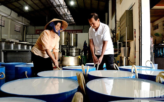 Elaboración de harina de arroz en Sa Dec: oficio tradicional reconocido como patrimonio nacional