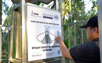 Surveillance intelligente d'insectes: Succès au Japon, engagement envers l'agriculture vietnamienne