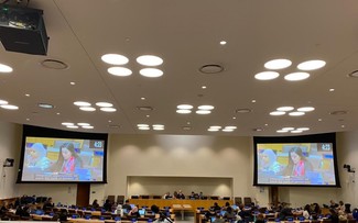 Le Vietnam partage son engagement pour l'autonomisation des femmes lors d'une session à l'ONU