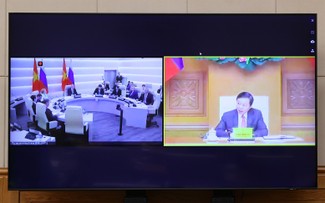 Réunion en ligne entre les vice-Premiers ministres vietnamien Trân Hông Hà et russe Dmitry Chernyschenko