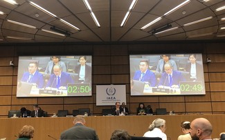 Vietnam attends IAEA Board of Governors’ meeting