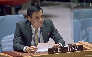 Việt Nam kêu gọi bảo đảm an ninh lương thực nhằm thúc đẩy hòa bình và phát triển trên thế giới