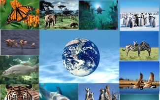 Thế giới và những thách thức về đa dạng sinh học