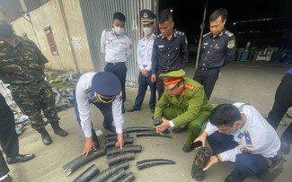Hải quan Việt Nam tiếp tục triển khai Chiến dịch Con Rồng Mekong 6 năm 2024