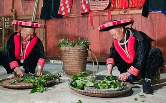 Nghề làm thuốc nam cổ truyền của dân tộc Dao Đỏ ở tỉnh Cao Bằng