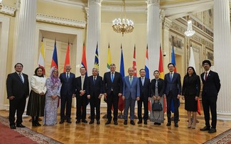 Вьетнам принял участие в 20-й встрече старших должностных лиц АСЕАН и России