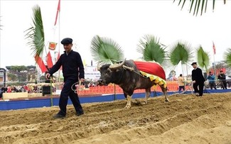 Лонгтонг – уникальный праздник народности Таи в провинции Хазянг