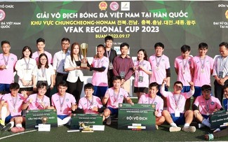 Sôi động giải bóng đá của cộng đồng người Việt Nam tại Hàn Quốc