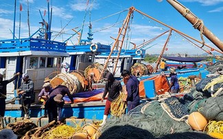  Đến năm 2050, Việt Nam trở thành quốc gia có nghề cá phát triển bền vững, hiện đại