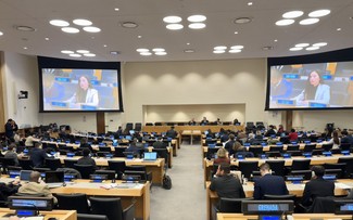Vietnam underscores UN Charter as foundation of international law