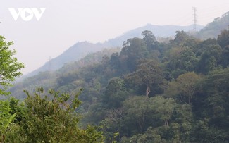 การอนุรักษ์และส่งเสริมคุณค่าทางประวัติศาสตร์ “ป่าพลเอกหวอเงวียนย๊าป”