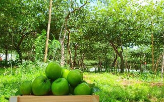 Aspiration for sustainable agriculture