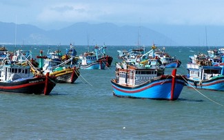 Electronic Catch Documentation and Traceability system used in Vietnam