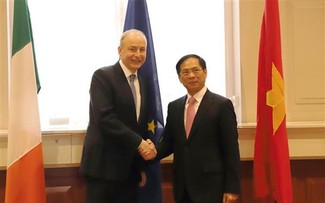 Vietnam, Ireland to forge cooperation in numerous spheres