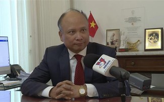 FM's trip to promote Vietnam's relations with OECD, France: Diplomat