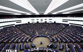 EU voters head to polls to elect European Parliament members