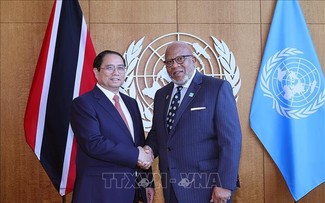 Vietnam promete contribuir activamente a las principales prioridades de la ONU