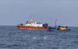 Vietnam realiza esfuerzos apropiados para prevenir actividades de pesca ilegal