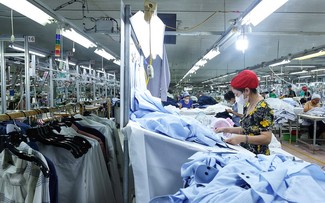 CIEM: PIB de Vietnam crecerá un 6,95 % este año