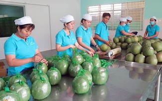 Fünf weitere vietnamesische Früchte mit offizieller Quote exportieren