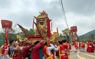 Pho Cat-Tempel-Fest in Thanh Hoa wiederbelebt