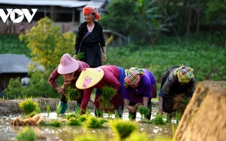 Reisfelder in Mu Cang Chai in Bewässerungszeit