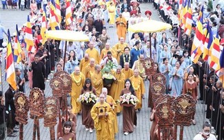 Sapling from world's longest-living Bodhi tree planted in Bai Dinh pagoda