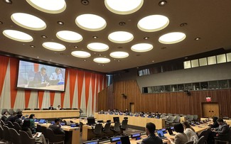 Vietnam fulfills Chairmanship of Asia Pacific Group at UN for April