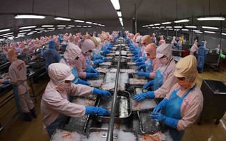 Oportunidades para exportar productos vietnamitas al mercado de los EAU