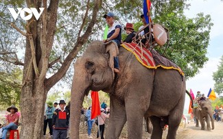 Une cérémonie de culte pour la santé des éléphants