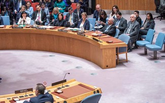 Palestine: le monde arabe exprime sa déception suite au vote au Conseil de sécurité de l’ONU