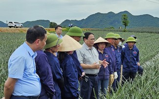 Pham Minh Chinh visite certaines infrastructures stratégiques de Ninh Binh