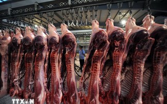 La Chine ouvre une enquête anti-dumping sur les importations de porc européen