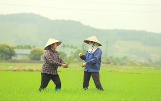 Des paysans heureux à Bình Khê 