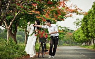 ดอกหางนกยูงกับความรักในวัยใส