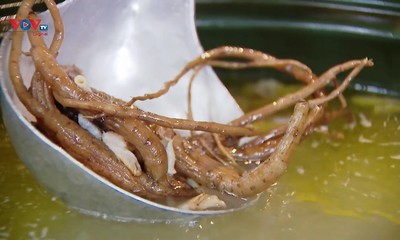 Ngoc Linh ginseng noodle soup, a delicious dish with an unusual flavor