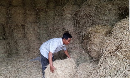 Soc Trang farmer shines as role model in new rural development 