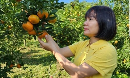 Chị Vũ Thị Lệ Thủy, tấm gương làm kinh tế nông thôn ở tỉnh Hòa Bình