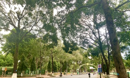 Buon Ma Thuot – Stadt der grünen Bäume