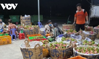 Mô hình liên kết trồng thanh long sạch làm thay đổi tư duy sản xuất của nhà vườn ở Tiền Giang