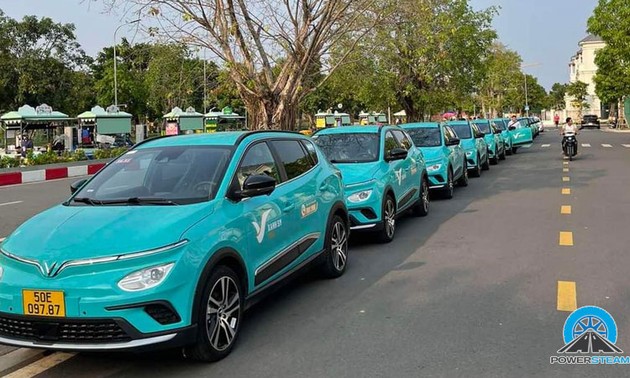 Memperkenalkan teh Shan Tuyet dari Vietnam dan Jasa Taksi yang Ramah dengan Lingkungan 
