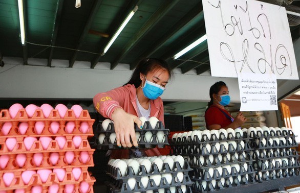 Komunitas badan usaha Thailand berseru supaya melonggarkan langkah-langkah blokade