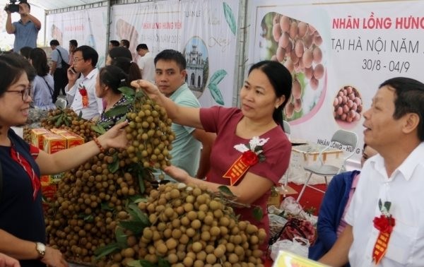 Provinsi Hung Yen memperhebat promosi pemasaran hasil pertanian