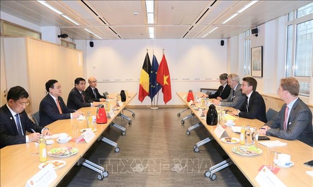 Berbagai Aktivitas Ketua MN Vuong Dinh Hue di Uni Eropa dan Belgia
