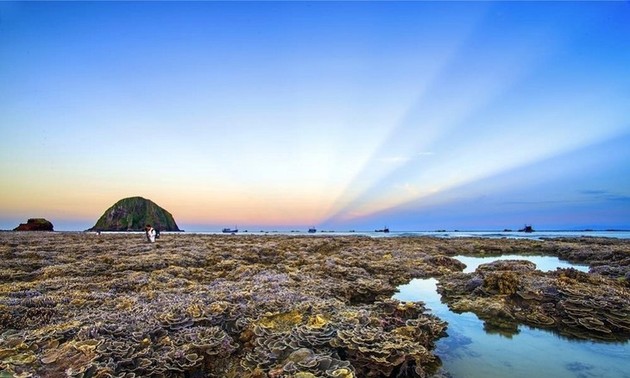 Keindahan Pulau Hon Yen, Provinsi Phu Yen 