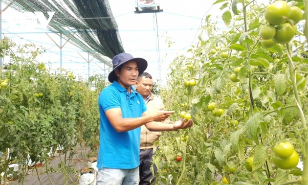 Provinsi Lam Dong Tingkatkan Nilai Hasil Pertanian Berkat Konektivitas Produksi Menurut Rantai