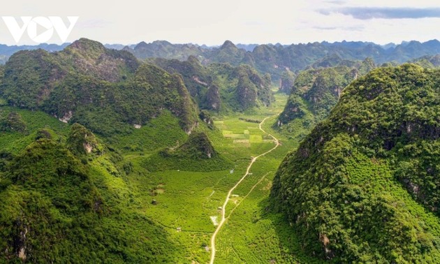 Provinsi Lang Son Membuat Paket Tur Ke Geopark yang Terkait dengan Budaya Tradisional