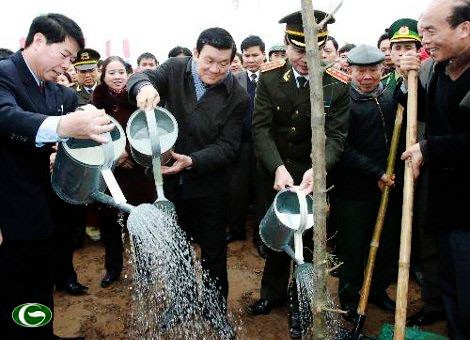 El presidente de Vietnam inaugura movimiento del cultivo de árboles