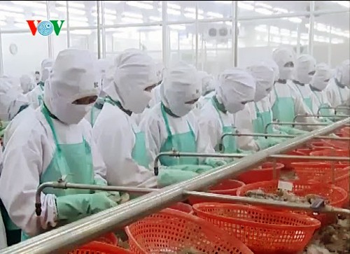 Vietnam considera a Asia como un mercado potencial de exportación de camarones