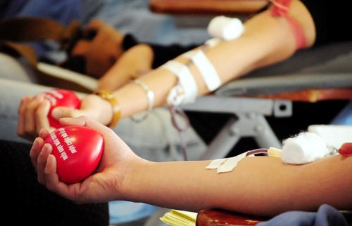 Aumento impresionante de la cifra de donantes de órganos en Vietnam